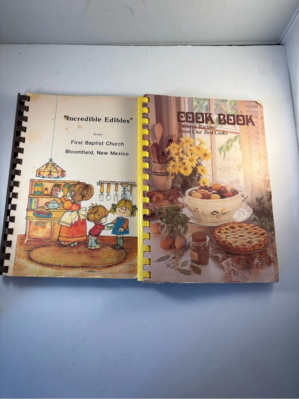 Vintage Bloomfield NM Church Cookbook Lot 1982 First Baptist Assembly of God  Lo